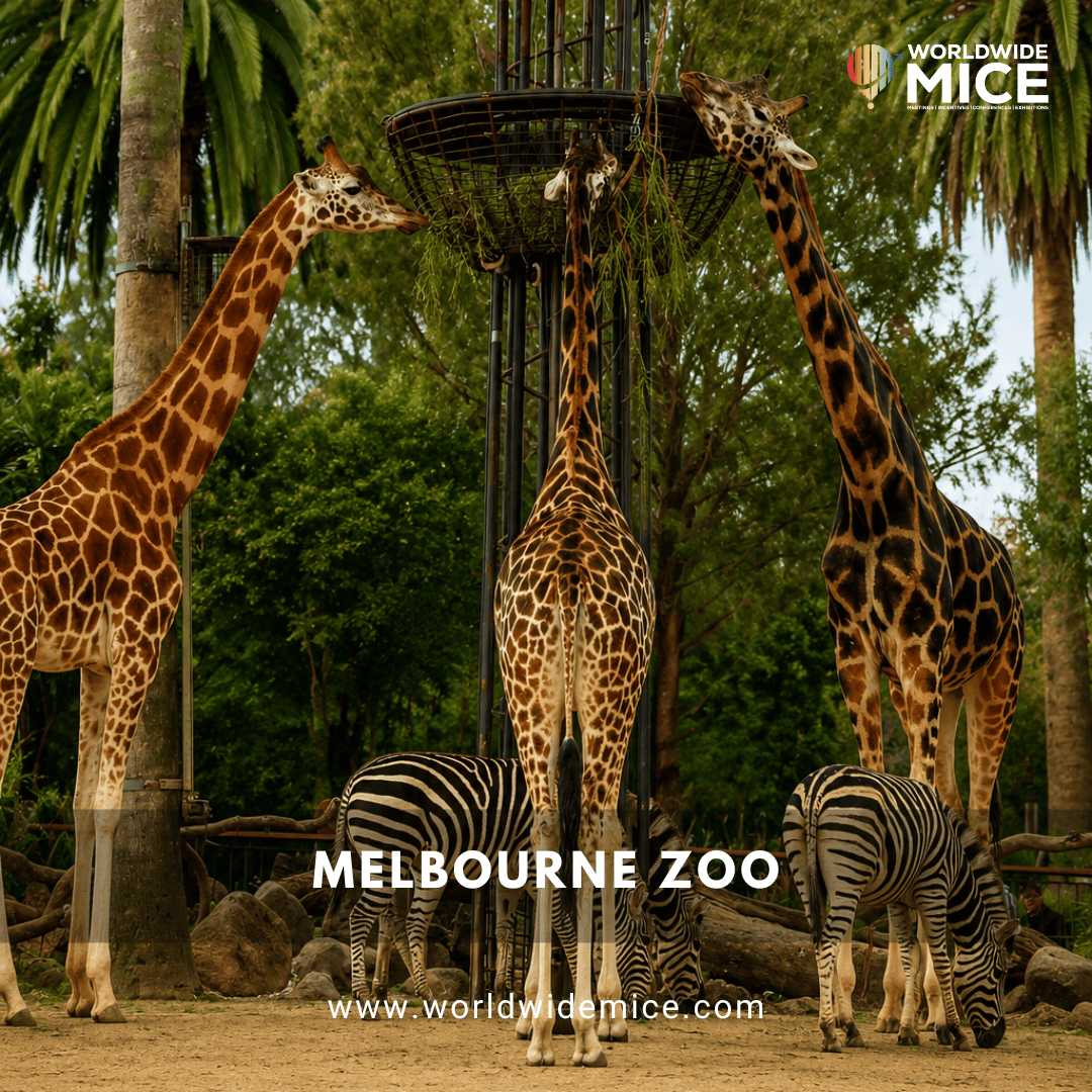 Melbourne Zoo